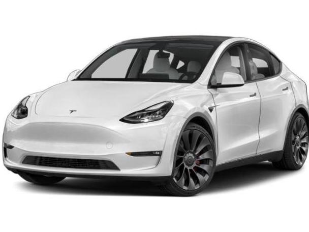 TESLA MODEL Y 2023 7SAYGDEF1PF962258 image